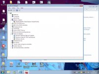 devicemanager.jpg