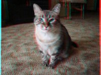 =^..^= Blue.jpg