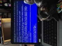 image.jpg