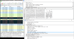 WS 5-29 packets.PNG