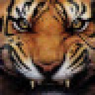 CatByte