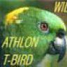 owlscreech