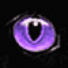 purplekitty
