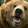 Kodiak